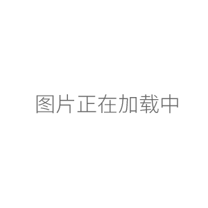 EX223ZH/E 1mg電子天平220g/0.001g
